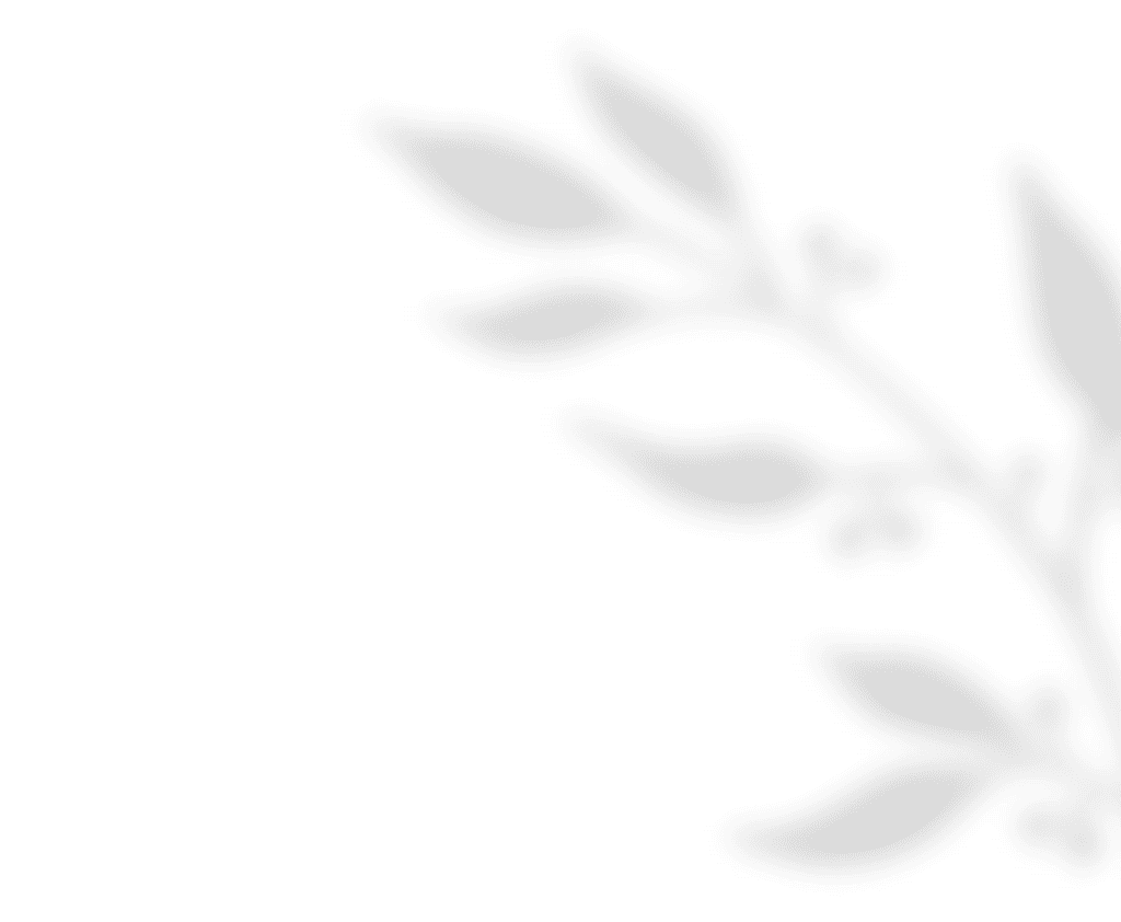 https://rockcreekmill.com/wp-content/uploads/2020/11/shadow_leaves_01.png